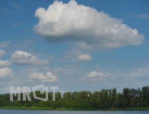 p694