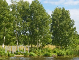 p699