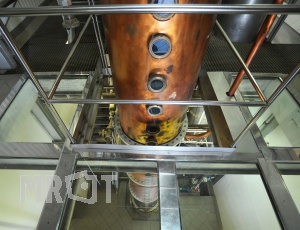 p343
